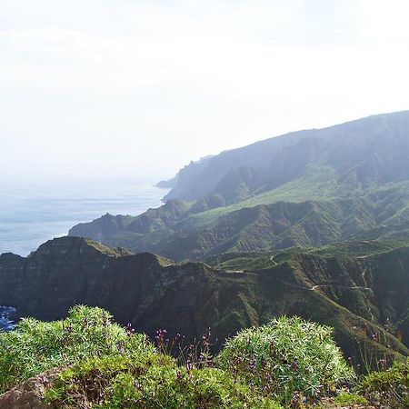 Viviendas Vacacionales Jardin La Punta 헤르미가 외부 사진