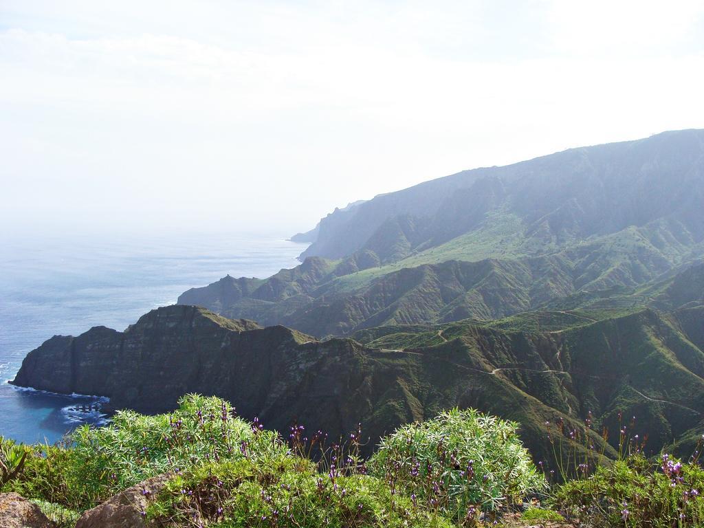 Viviendas Vacacionales Jardin La Punta 헤르미가 외부 사진